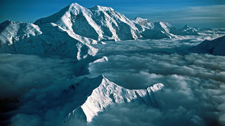 кадр из фильма La Femme De Denali