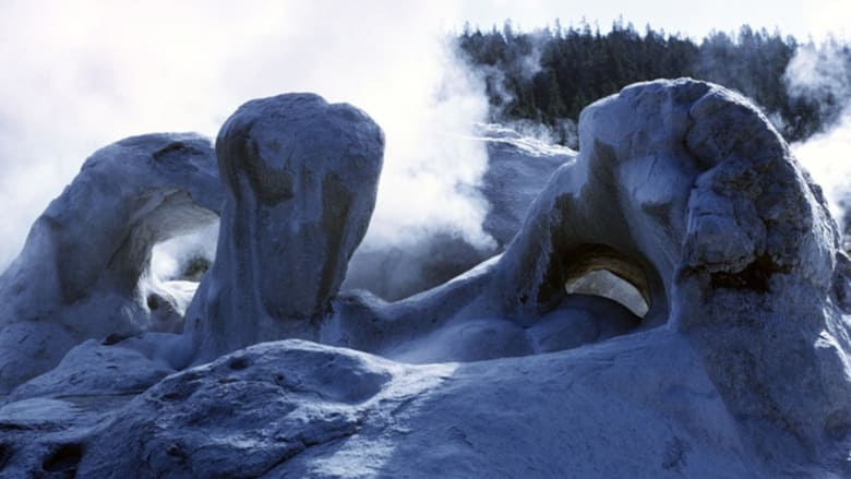 кадр из фильма Face of the Earth