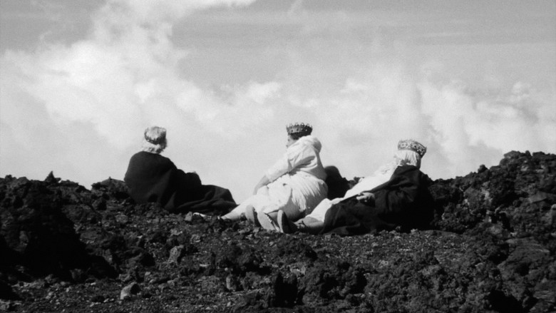 кадр из фильма El cant dels ocells