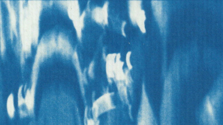 кадр из фильма AGULHA