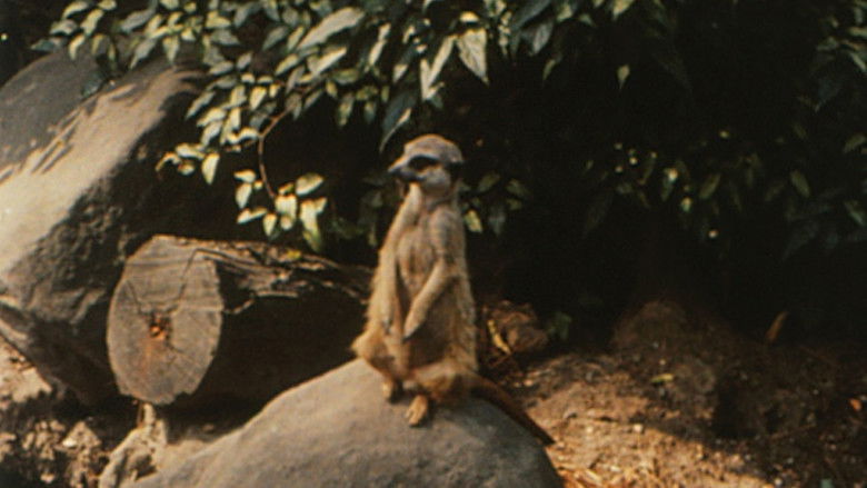 кадр из фильма Envío  8