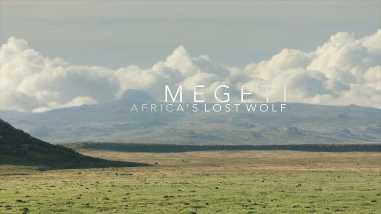 кадр из фильма Megeti - Africa's Lost Wolf