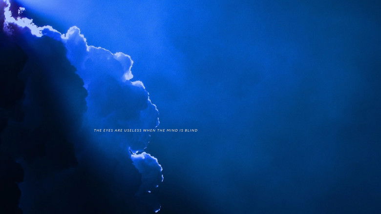 кадр из фильма A Fool's Gamble