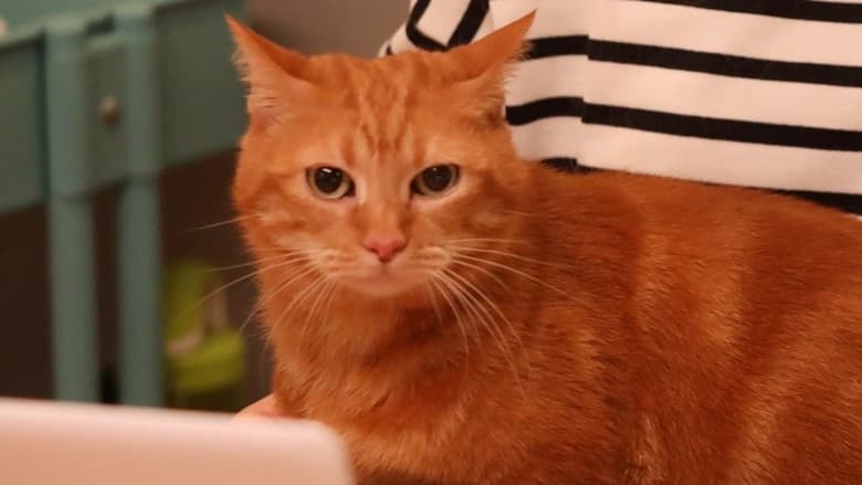 кадр из фильма リモートで殺される