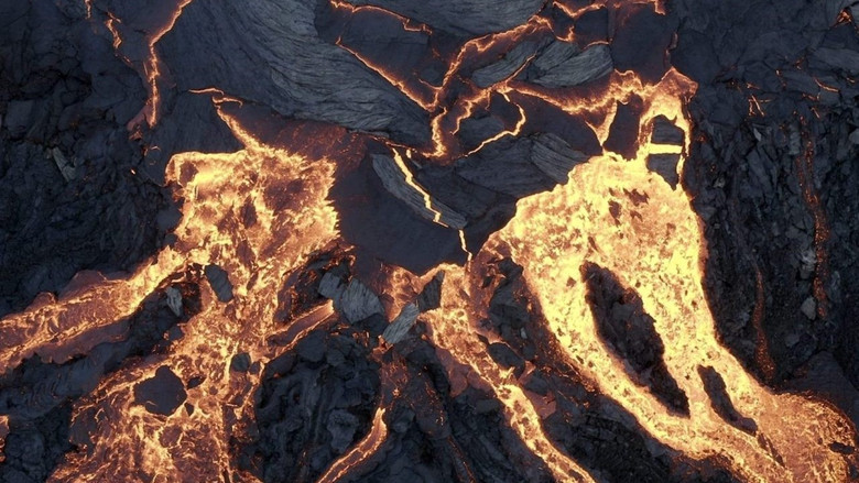 кадр из фильма Terre, Les Forces du Vivant