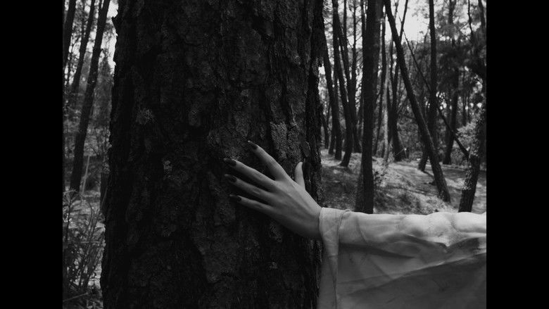 кадр из фильма Frankenstein