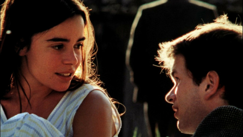 кадр из фильма Дикий тростник