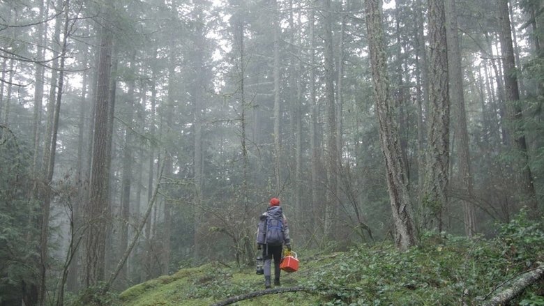 кадр из фильма The Interior