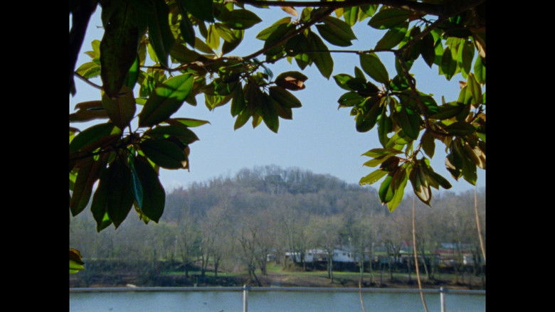 кадр из фильма The House My Mother Left