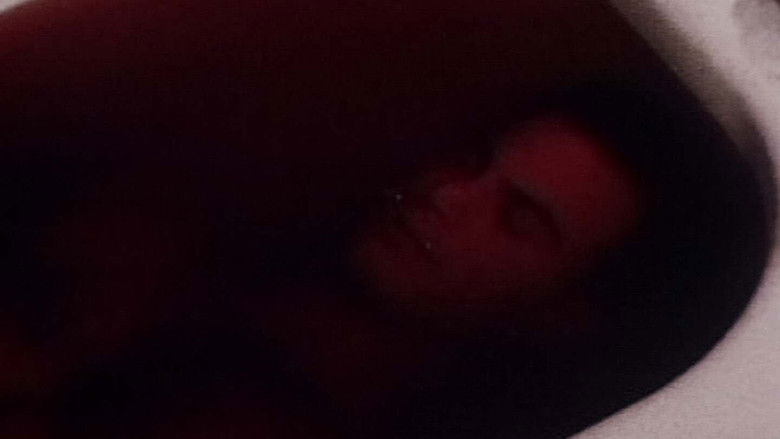 кадр из фильма 5 Dead on the Crimson Canvas