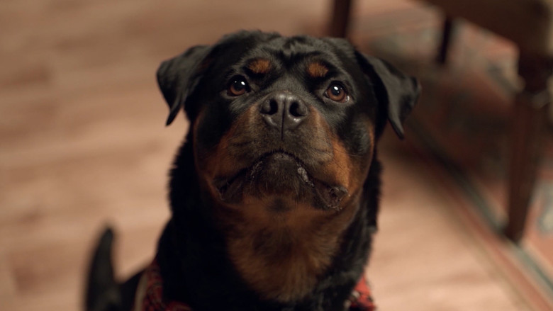 кадр из фильма 5 Silahşörler