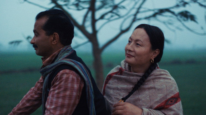 तिनीहरू