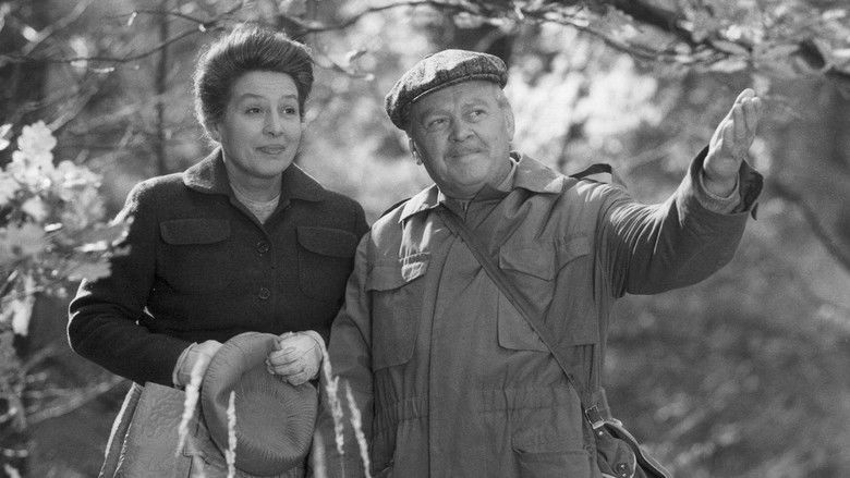 кадр из фильма Romeo a Julie na konci listopadu