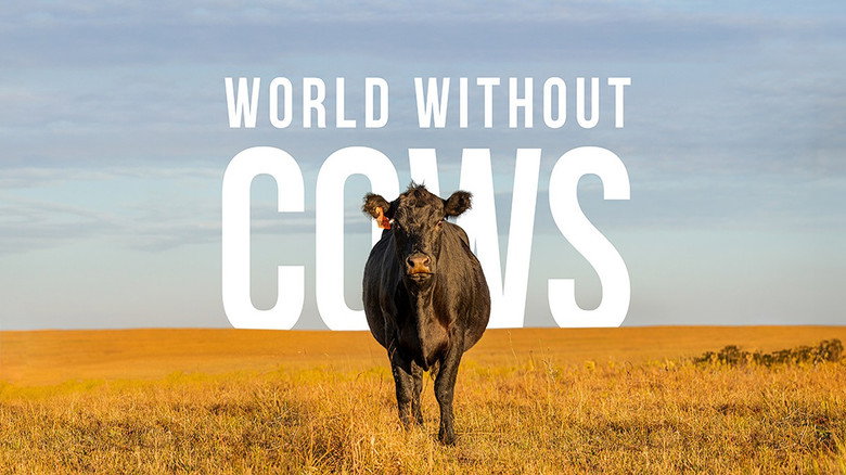 кадр из фильма World Without Cows