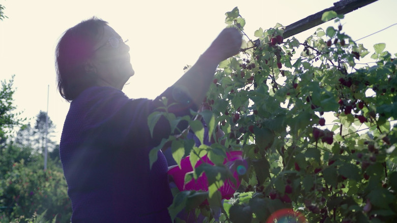 кадр из фильма Mina – Der Preis der Freiheit