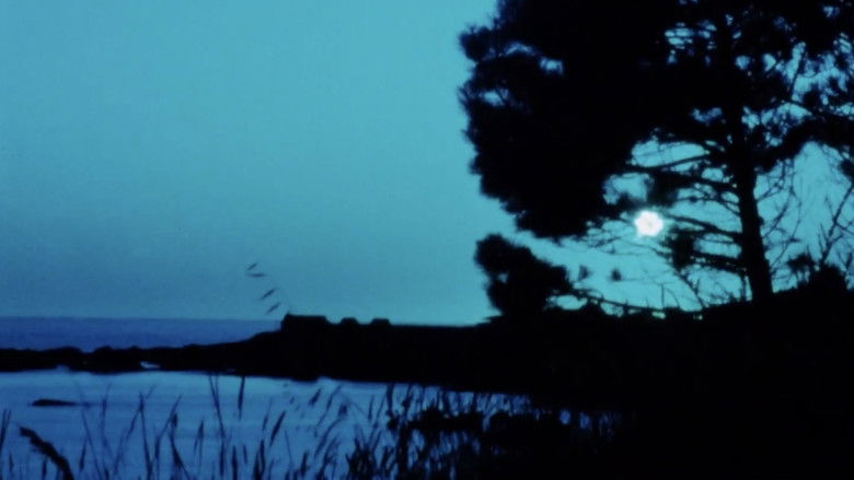 кадр из фильма Matter of Clarity