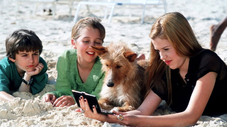 кадр из фильма Зевс и Роксана