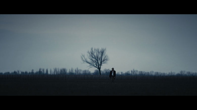 кадр из фильма IL VAGABONDO