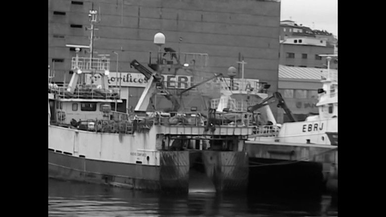 кадр из фильма No seu lugar, outro