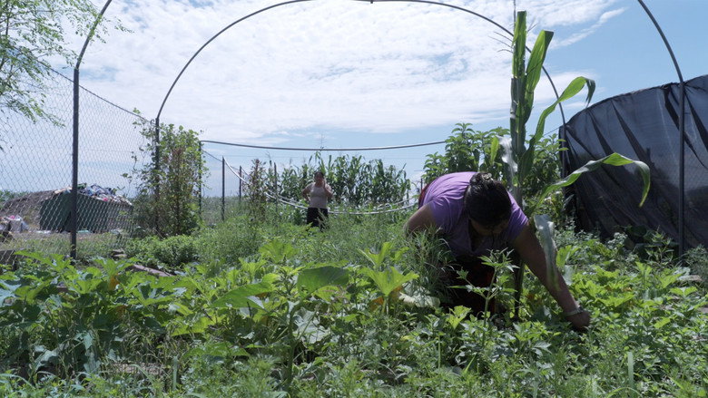 кадр из фильма Voces de la Tierra, Salud y Agroecología