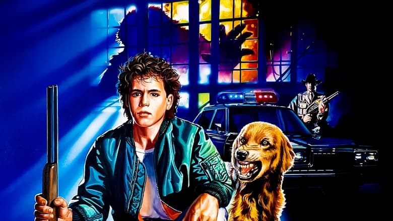 Наблюдатели