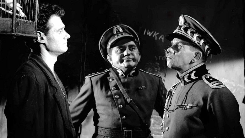 кадр из фильма Ева хочет спать