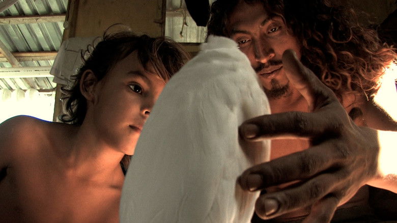 кадр из фильма Alamar