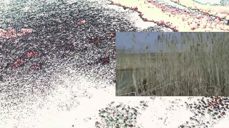 кадр из фильма Зонґ