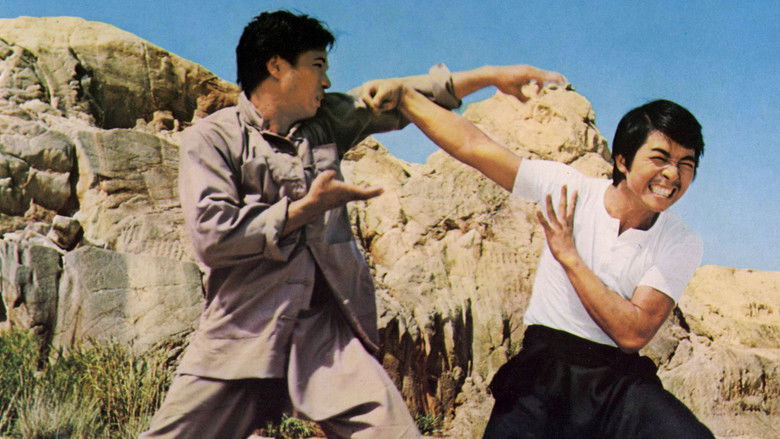 кадр из фильма 小霸王