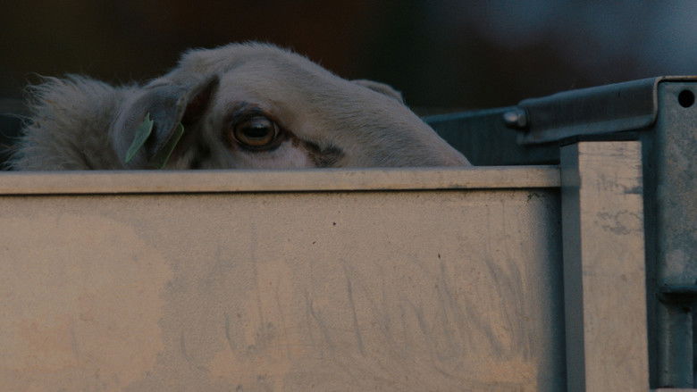 кадр из фильма Schaap