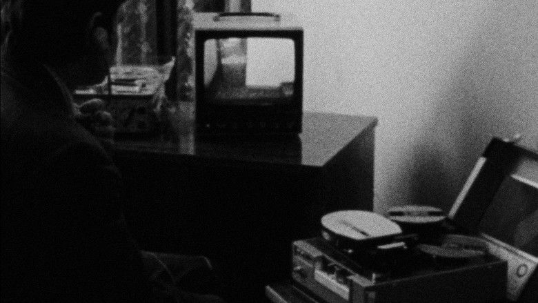 кадр из фильма Zwyczajny kraj