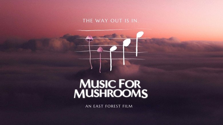 кадр из фильма Music for Mushrooms