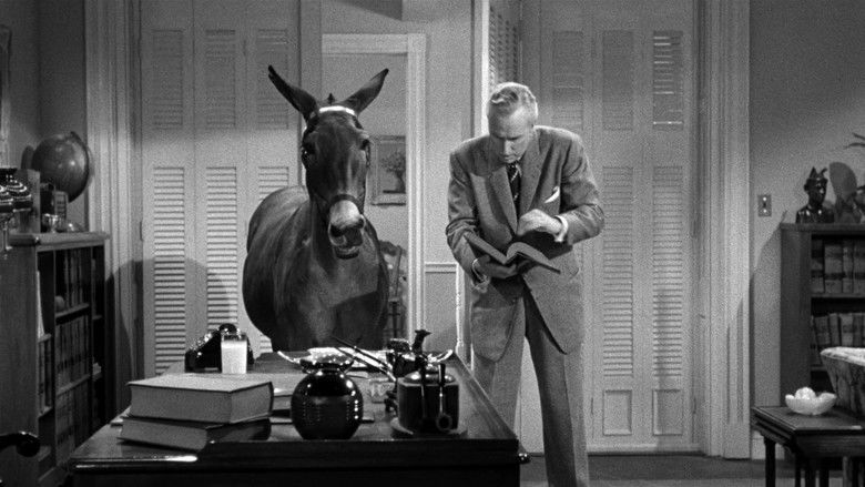 кадр из фильма Фрэнсис в доме с привидениями