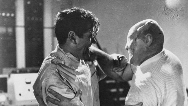 кадр из фильма Проклятие мухи