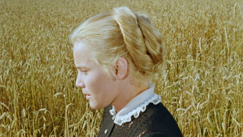 кадр из фильма Роза Бернд