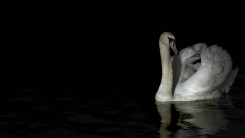 кадр из фильма L'appel Du Vide