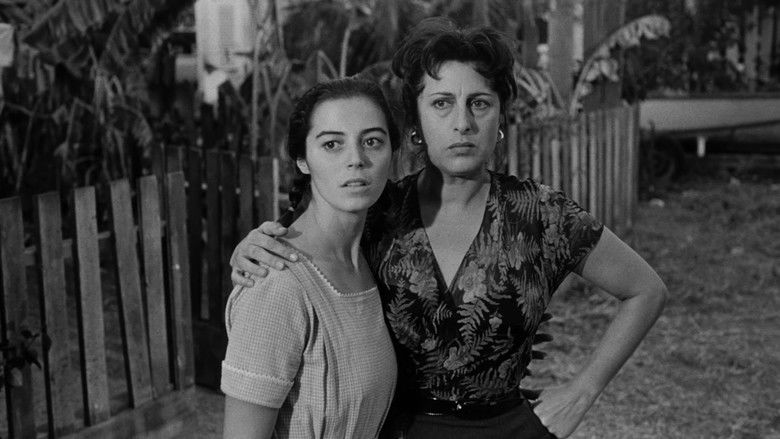 кадр из фильма Татуированная роза