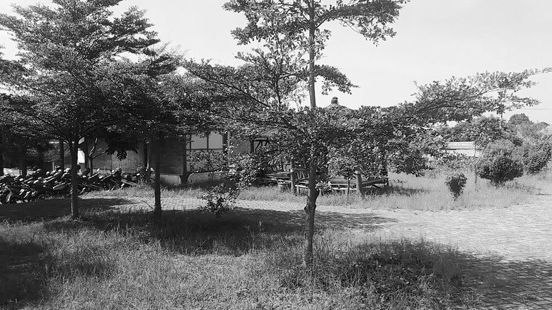 кадр из фильма A Boundless Nature