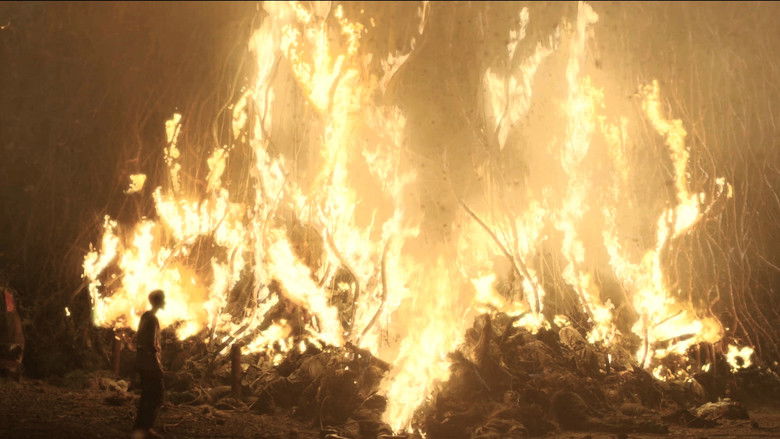 кадр из фильма Новая эра Z