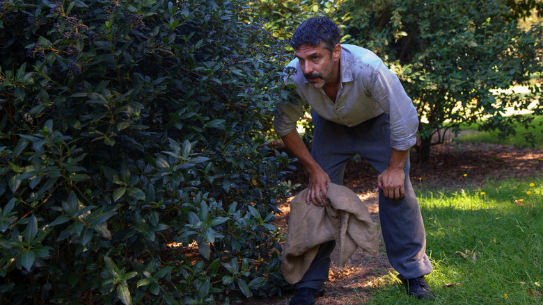 кадр из фильма No te olvides de mí