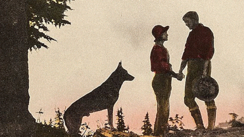 кадр из фильма Where the North Begins