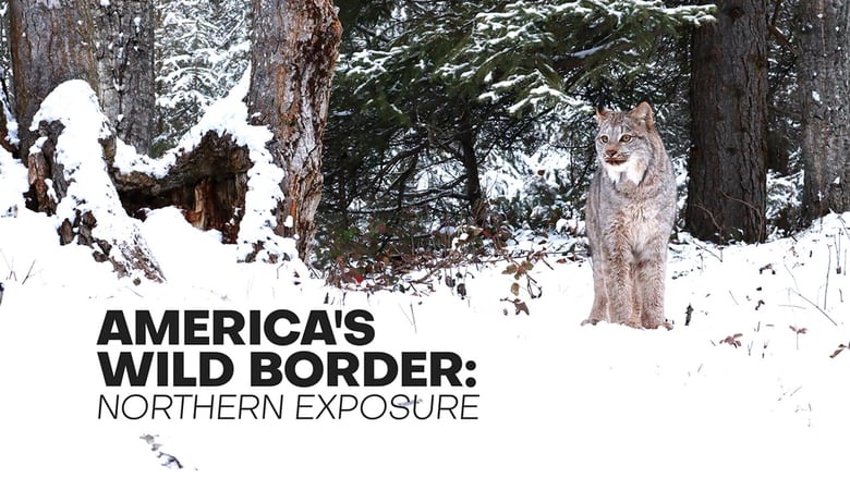кадр из фильма America's Wild Border: Northern Exposure