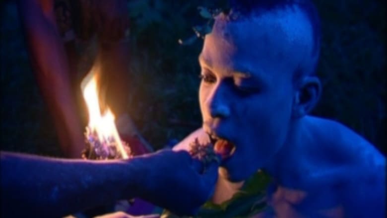 кадр из фильма L'Iboga: Les Hommes du bois sacré