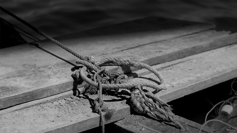 кадр из фильма Facticity