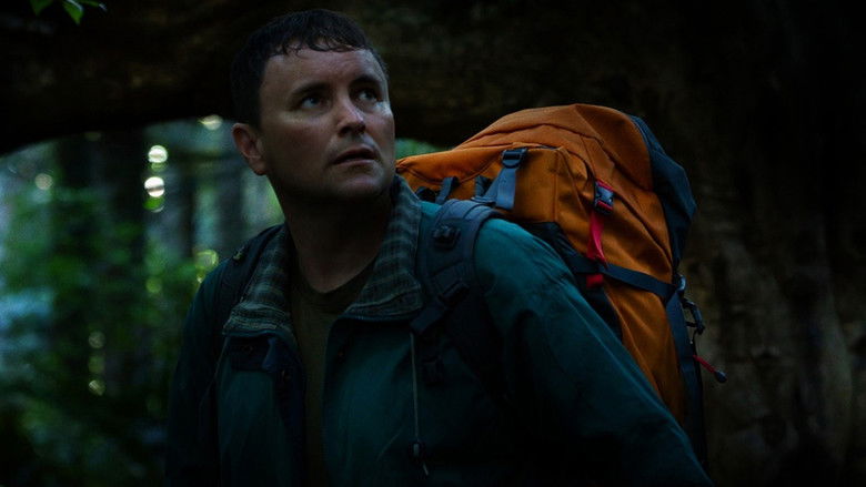 кадр из фильма Таинственный лес