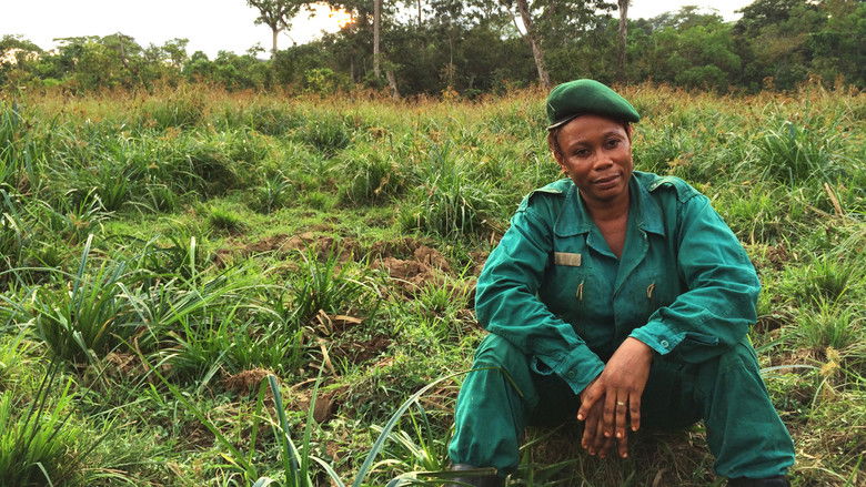 кадр из фильма Silent Forests