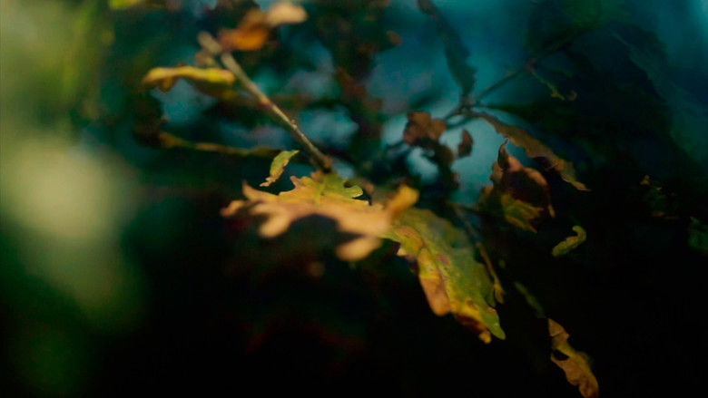 кадр из фильма De sangue e cristais