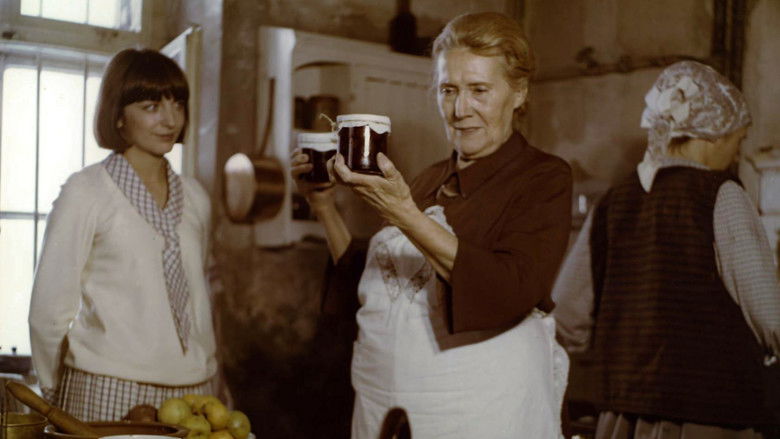 кадр из фильма Барышни из Вилько