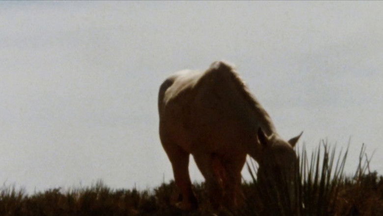 кадр из фильма An Architecture of Desire