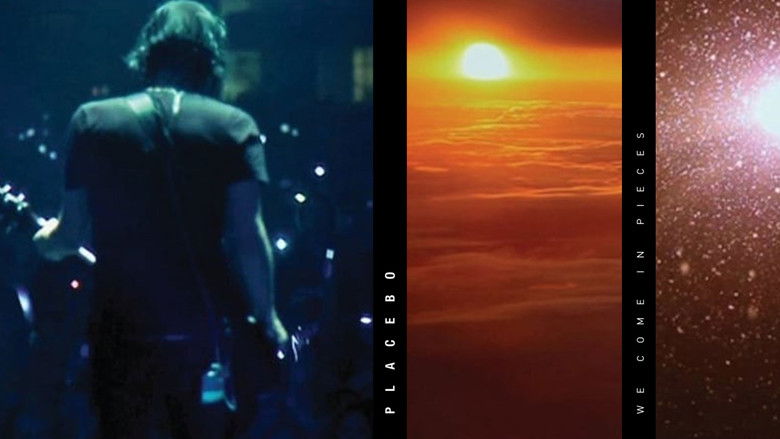 кадр из фильма Placebo: We Come In Pieces